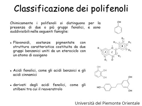 Classificazione dei polifenoli
