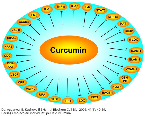 Turmeric molecular targets