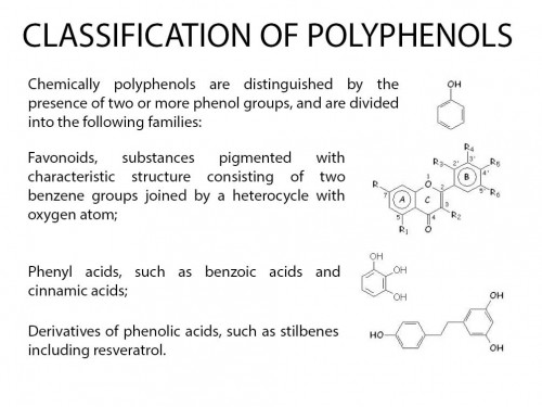 Classification of polyphenols