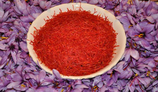 Crocus sativus: medicinal properties - Cover
